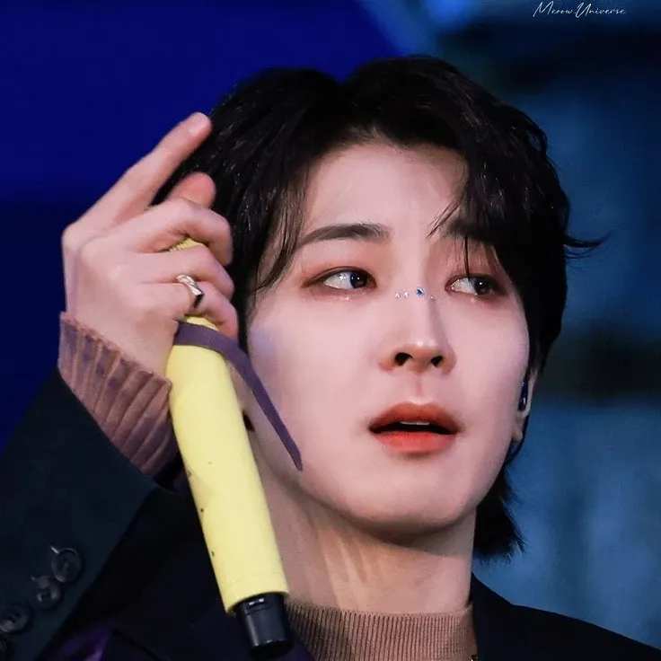 Recent activity shot of Wonwoo (SEVENTEEN)