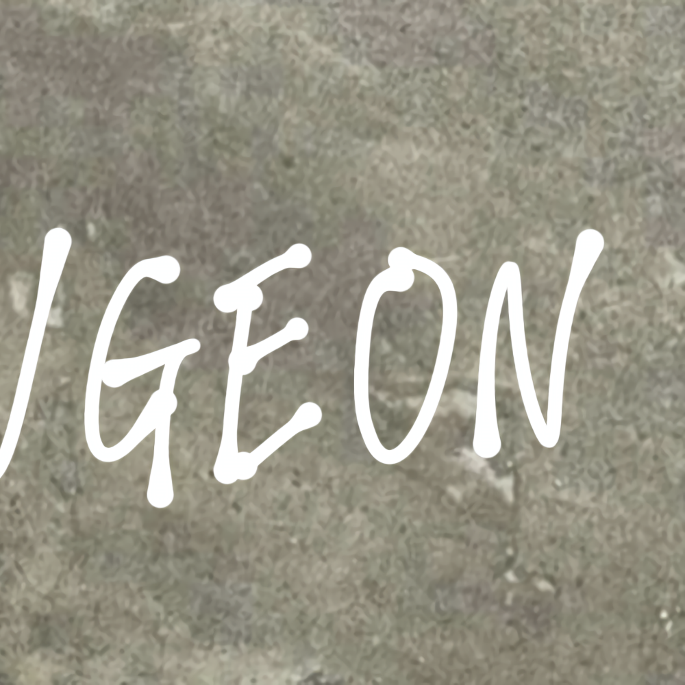 A moment captured by Ugeon (WHIB)'s fan