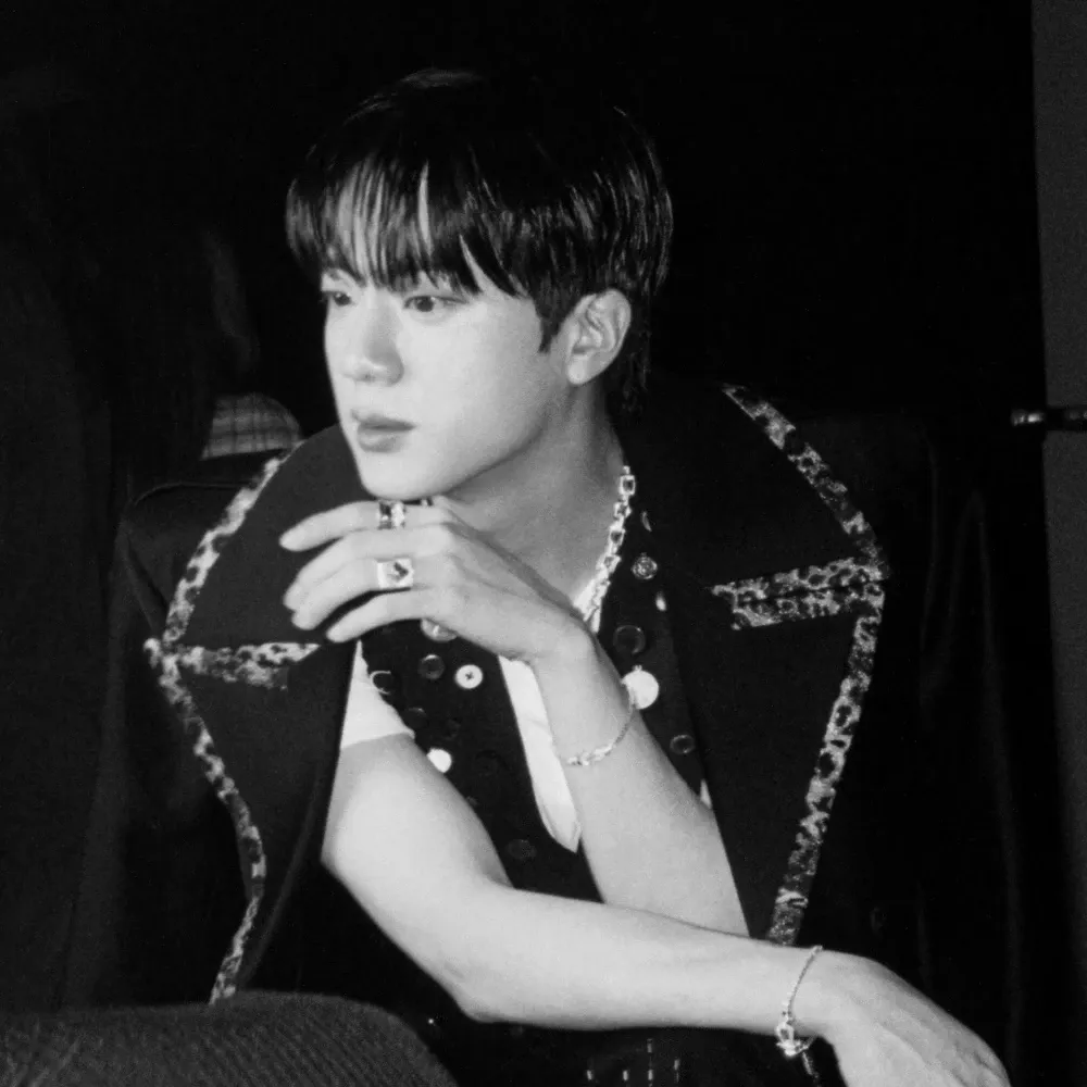A moment captured by Jin (BTS)'s fan