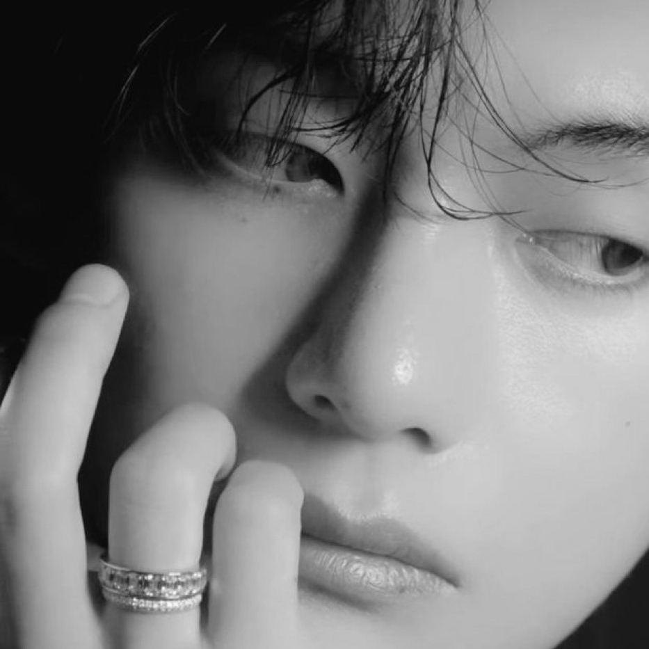 Potret di balik layar V (BTS)