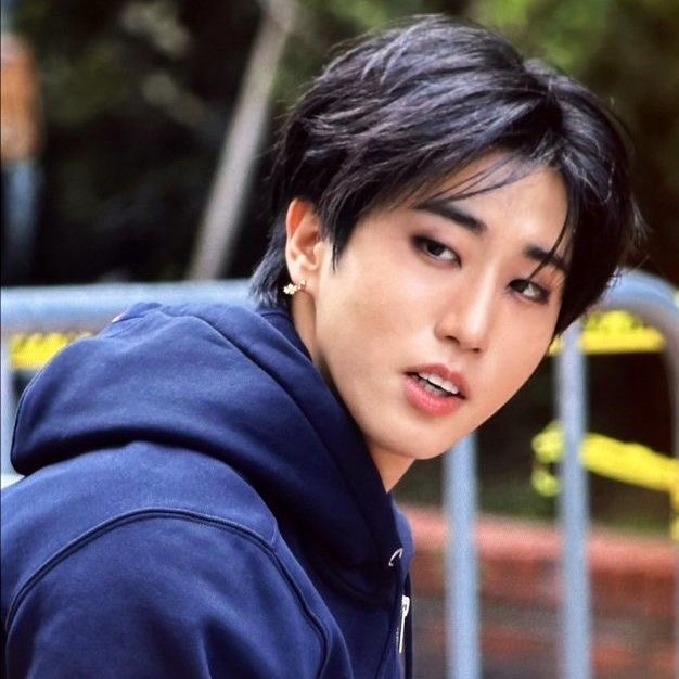 A moment captured by HAN (Stray Kids)'s fan