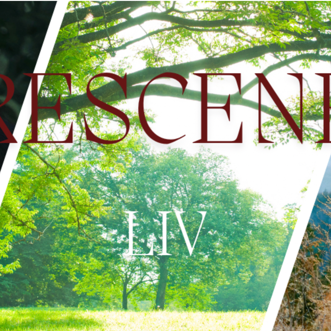 Recent activity shot of Liv (RESCENE)