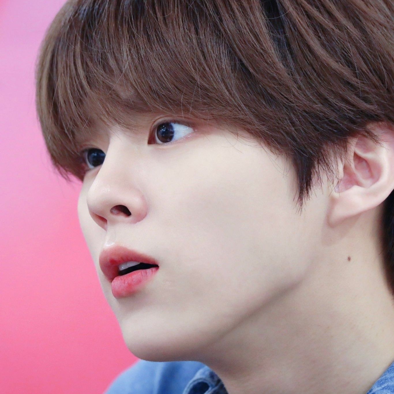 김우석 팬이 찍은 순간