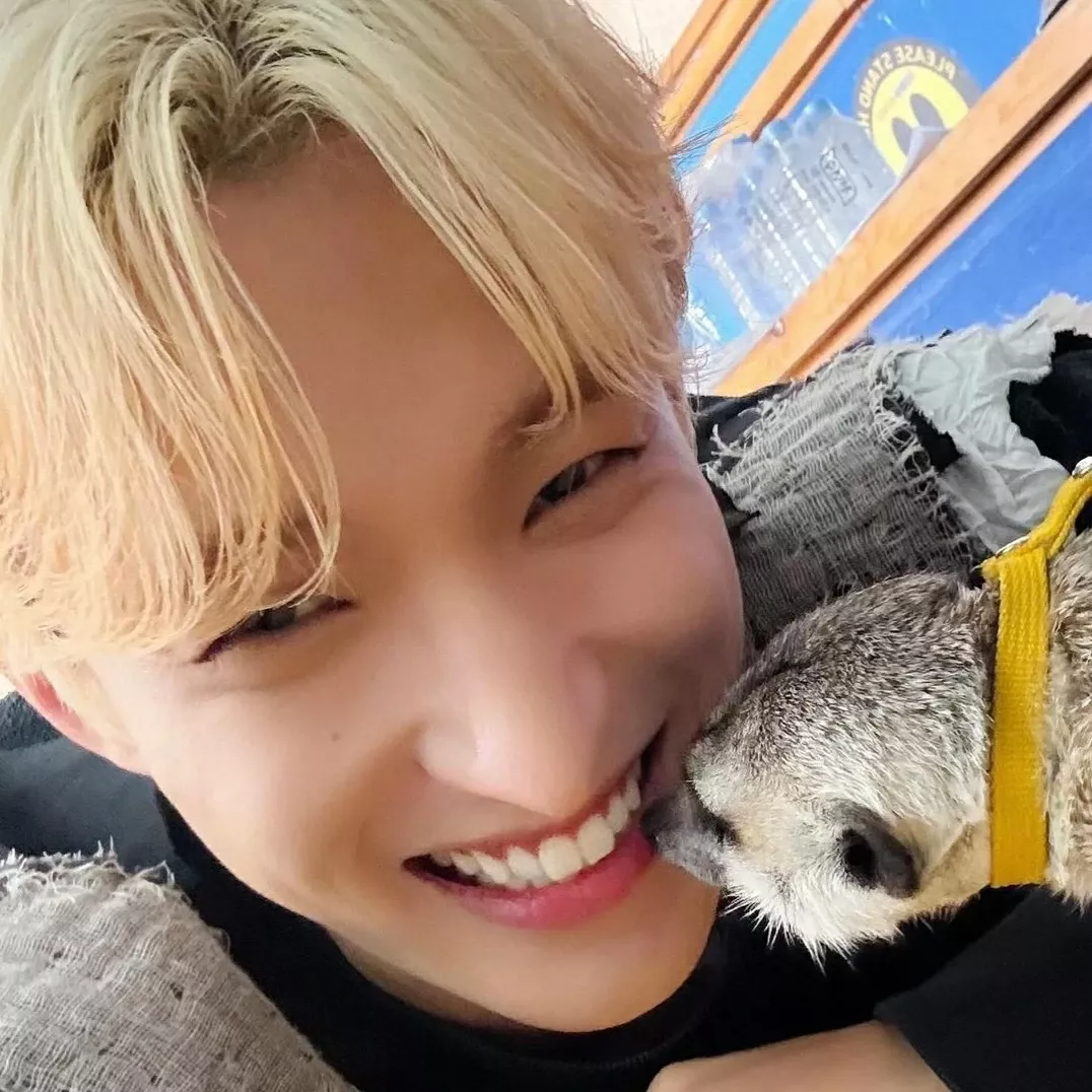 세븐틴의 비하인드 컷