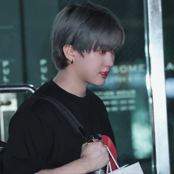 粉絲喜愛的彰彬 (Stray Kids)人氣頭像