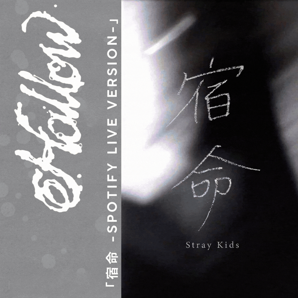 A moment captured by Seungmin (Stray Kids)'s fan