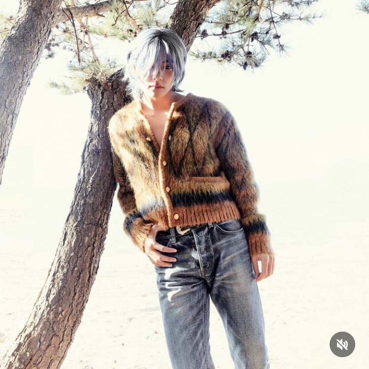 Potret di balik layar V (BTS)