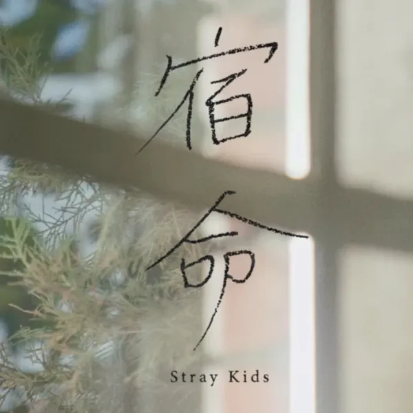 チャンビン (Stray Kids)ファンが撮った瞬間