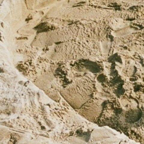 华莎 (MAMAMOO)的最新照片