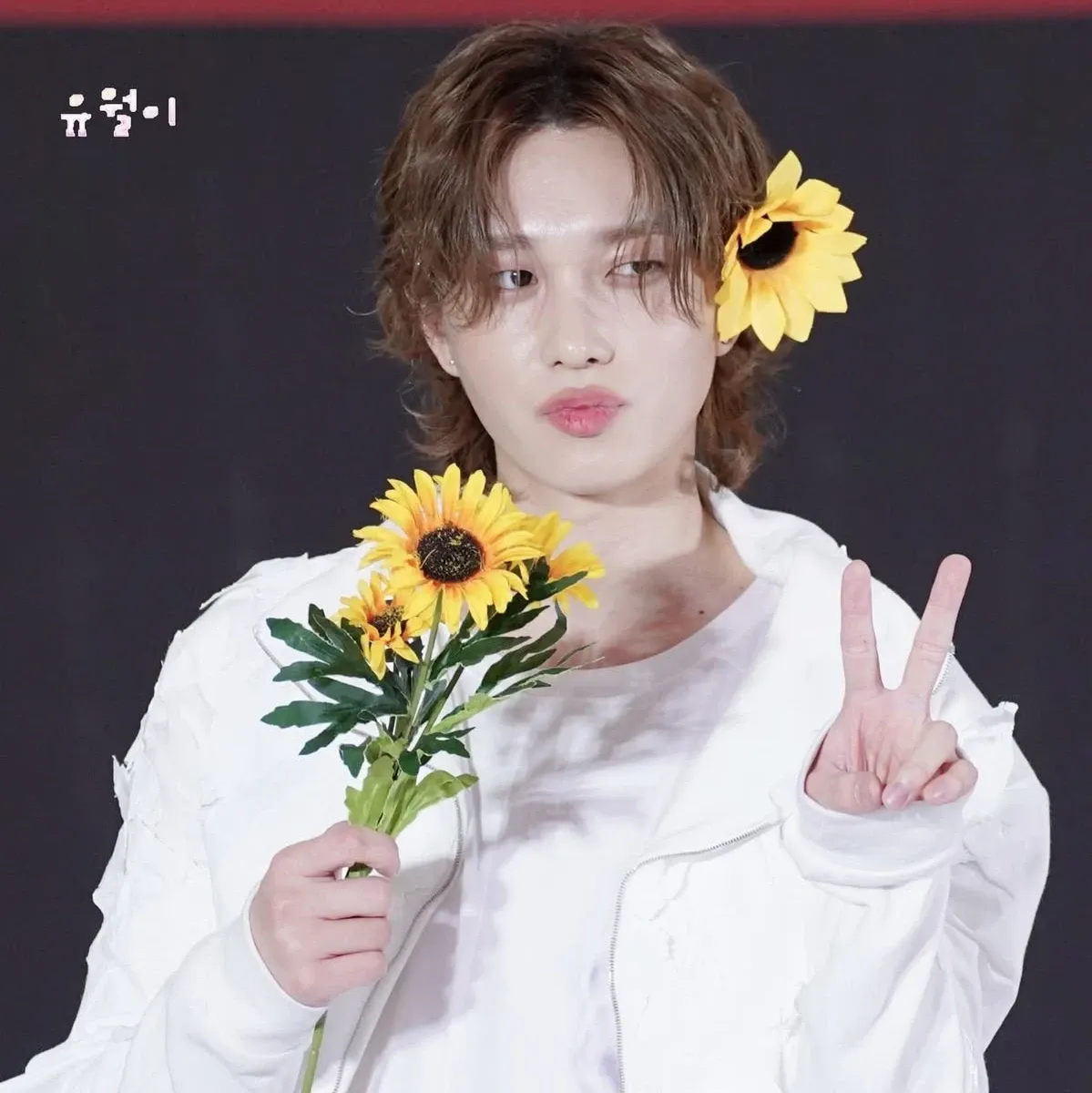 THEO (P1Harmony)的幕后花絮