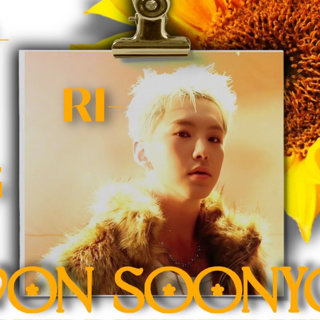 A moment captured by Hoshi (SEVENTEEN)'s fan