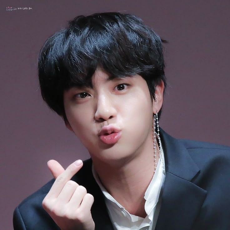 진 (방탄소년단) 팬이 찍은 순간