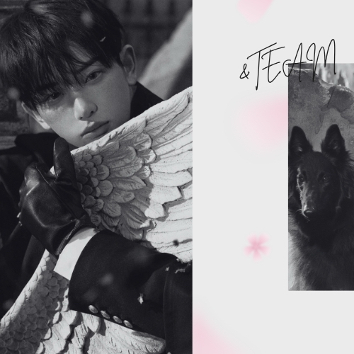 最愛ドルコミュニティの爆発的人気投稿