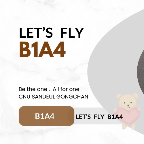 Recent activity shot of B1A4