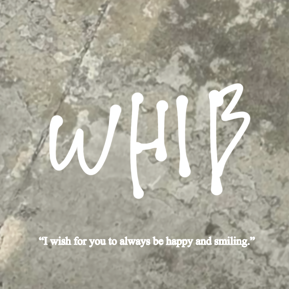 A moment captured by Ugeon (WHIB)'s fan