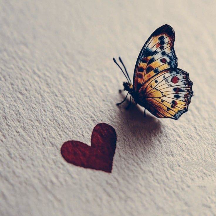 TWICE 최근 활동샷