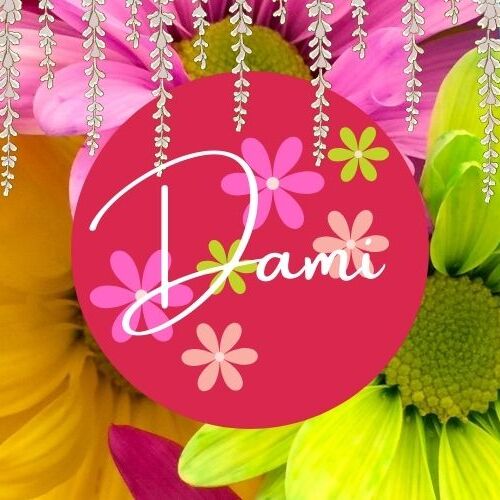 다미 (드림캐쳐) 최근 활동샷