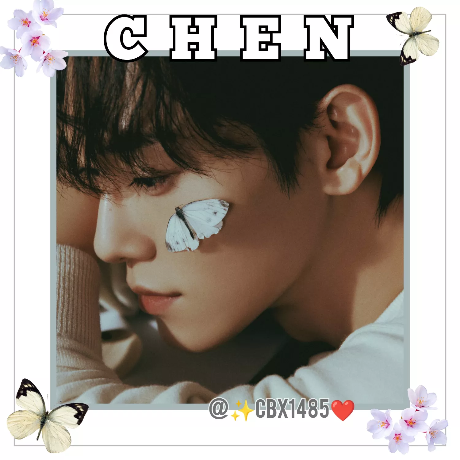 Chen (EXO)粉絲拍下的瞬間