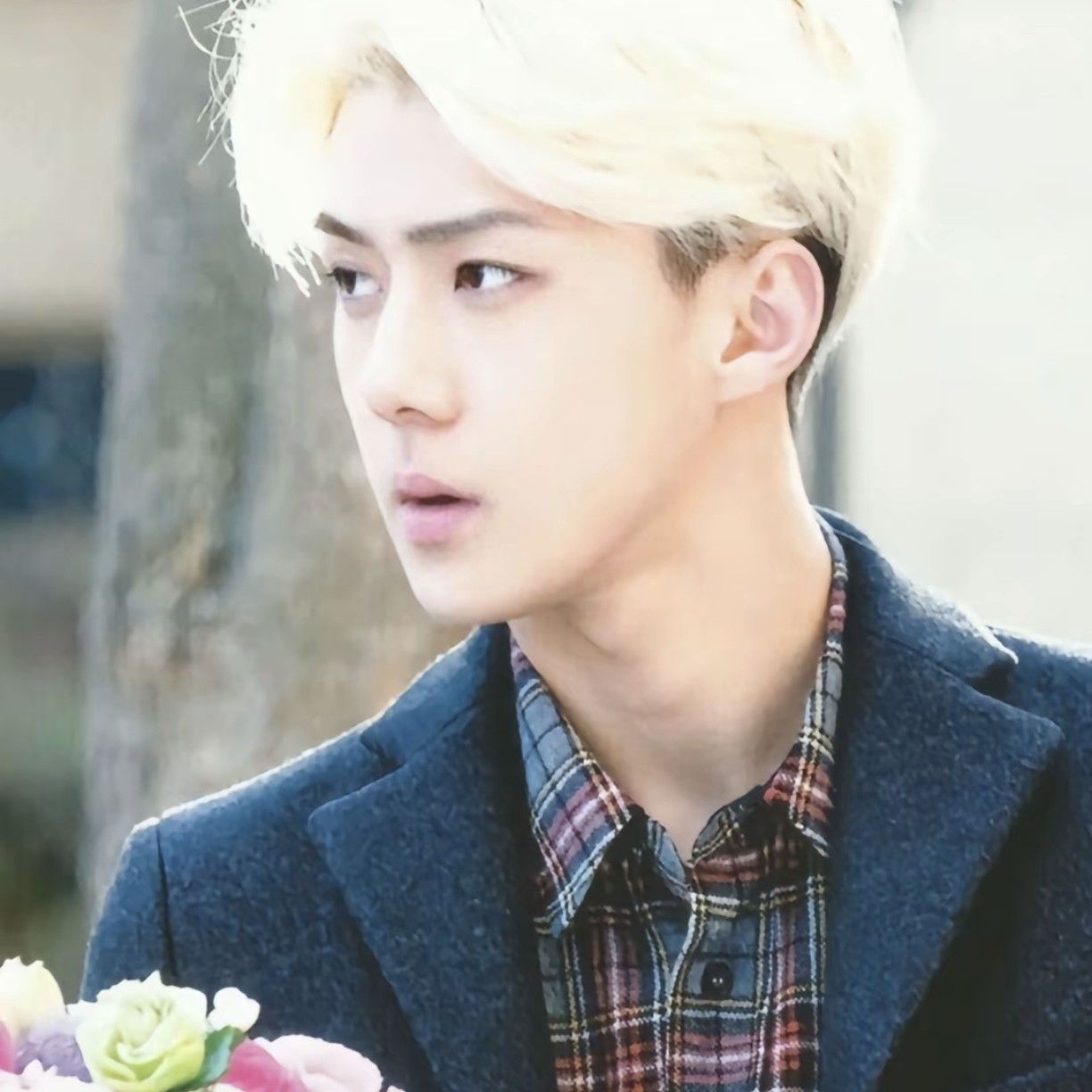 세훈 (EXO) 팬이 찍은 순간