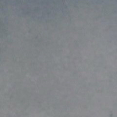 TWICE 팬이 찍은 순간