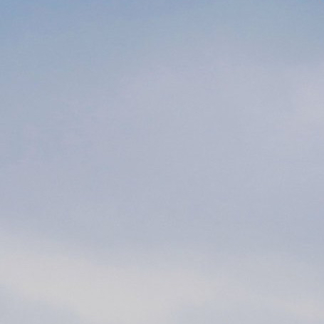 Latest photo of LUCY