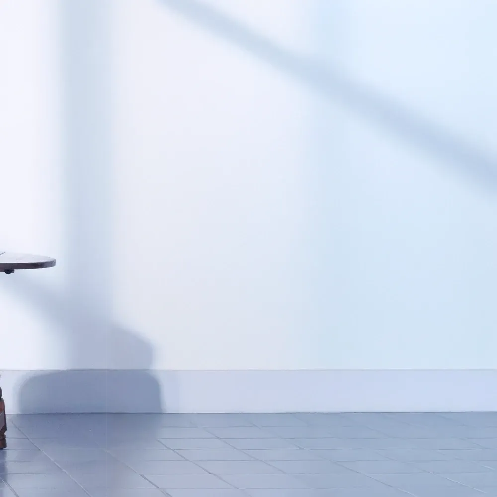 셔누 (몬스타엑스) 팬이 찍은 순간