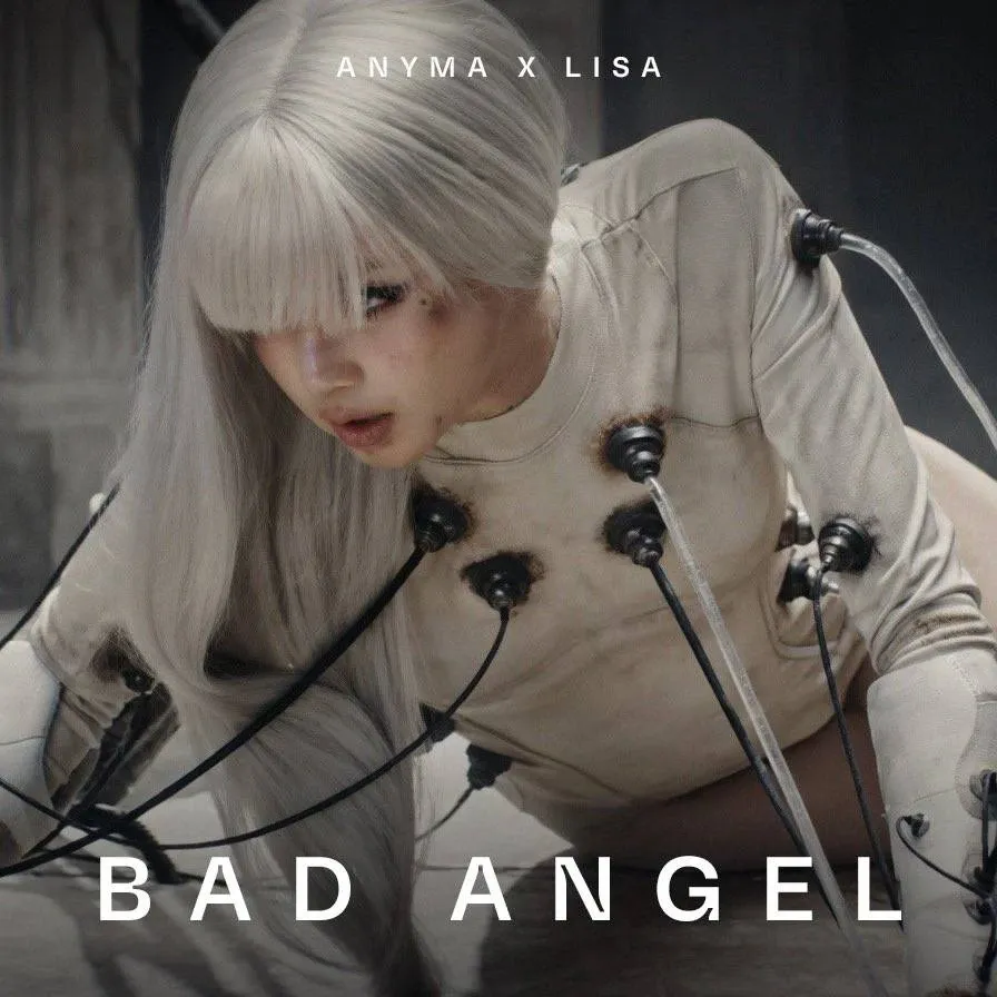 리사 (BLACKPINK) 최근 활동샷