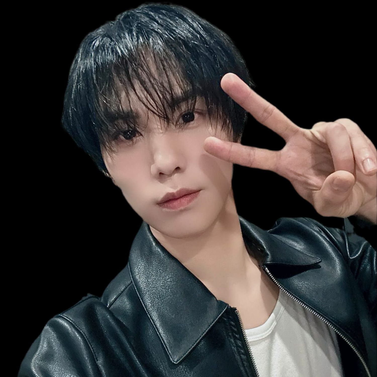 Recent activity shot of Rocky