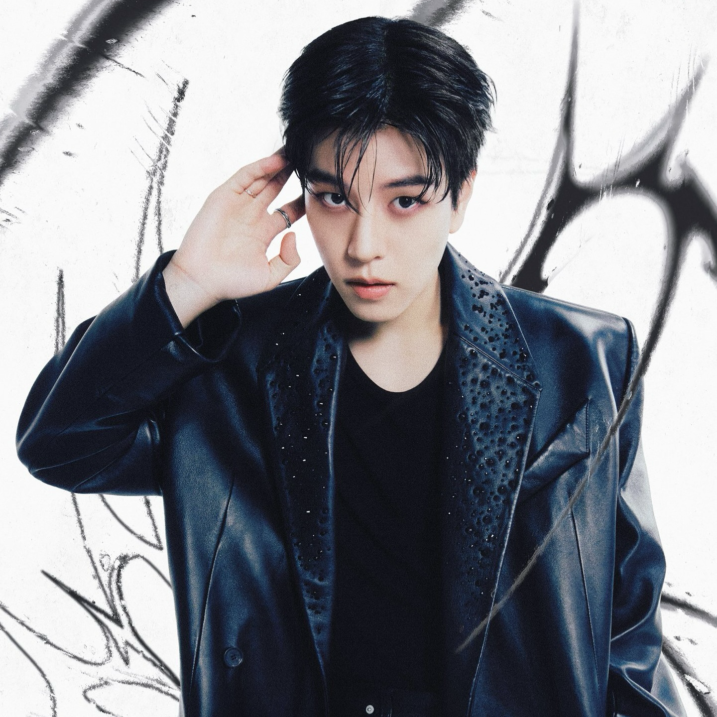 Stray Kids 팬이 찍은 순간