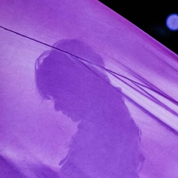 Behind-the-scenes cut of V (BTS)