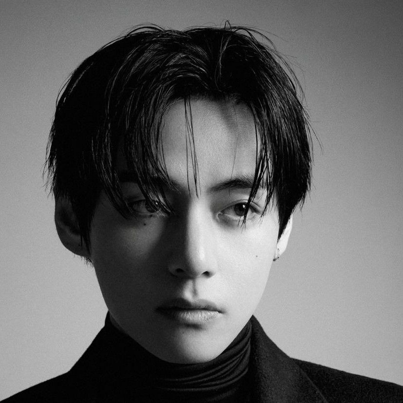 뷔 (방탄소년단) 팬이 찍은 순간