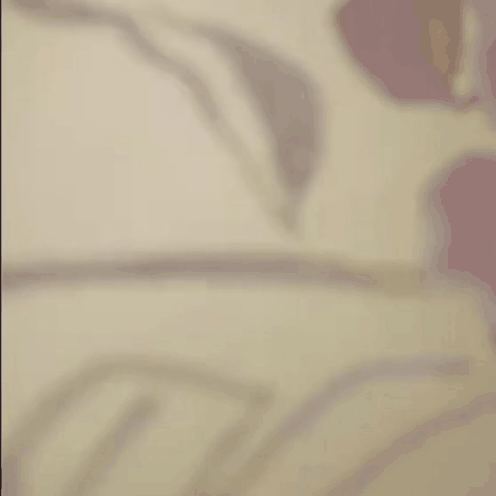 A moment captured by Xiao Zhan's fan