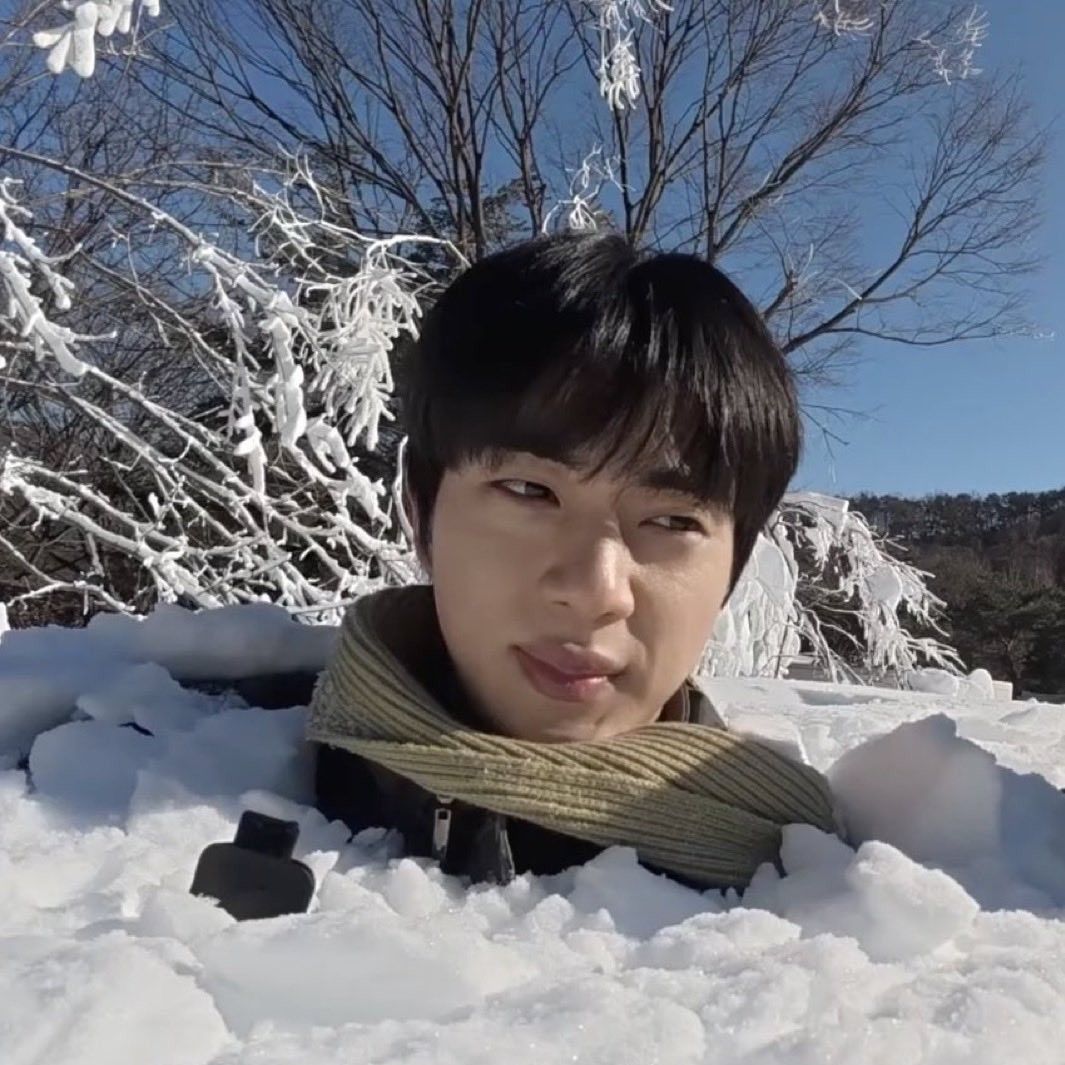 A moment captured by Jin (BTS)'s fan