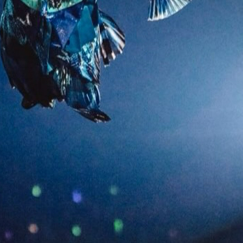 Recent activity shot of Nagao Kento (Naniwa Danshi)