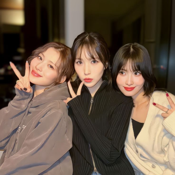 Momen yang diabadikan oleh penggemar TWICE