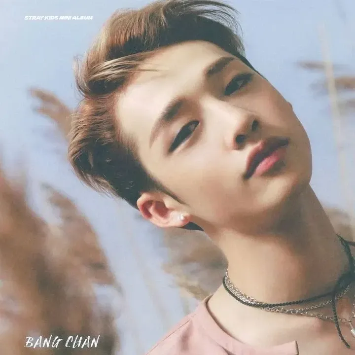 Recent activity shot of Bang Chan (Stray Kids)