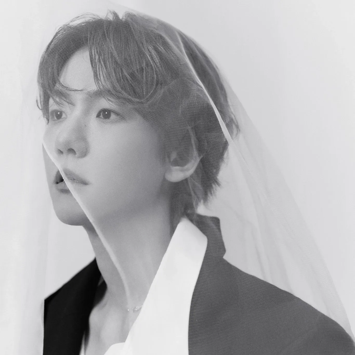 EXO 팬이 찍은 순간