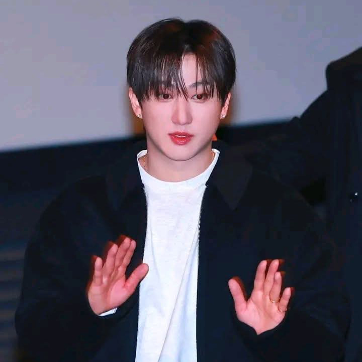 チャンビン (Stray Kids)ファンが撮った瞬間