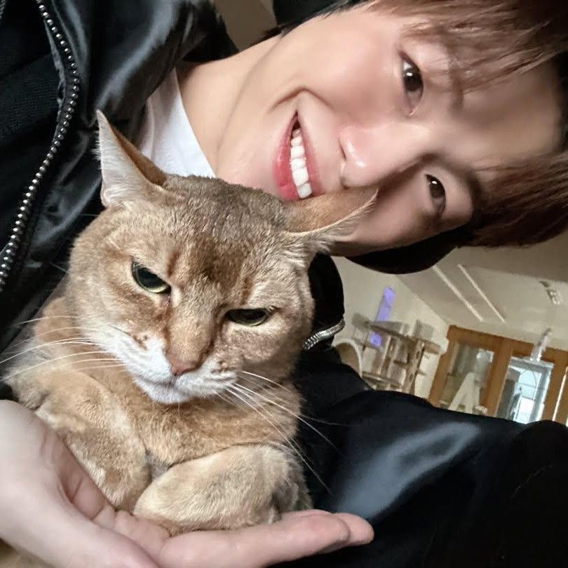 Momen yang diabadikan oleh penggemar Kang Daniel