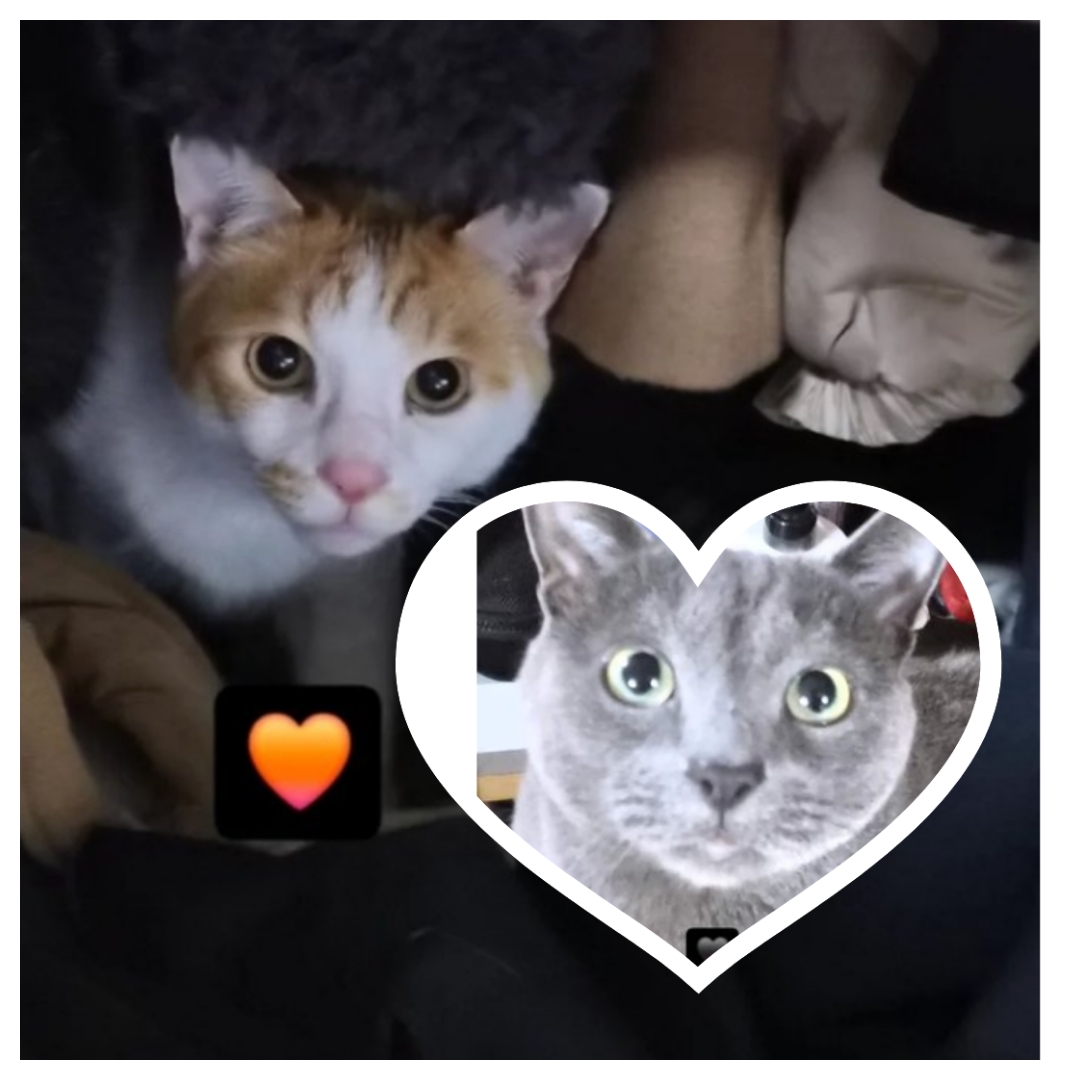 Latest photo of Sanha (ASTRO)