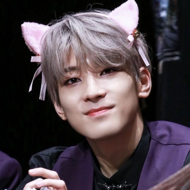 원우 (세븐틴) 팬이 찍은 순간