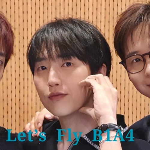 A moment captured by B1A4's fan