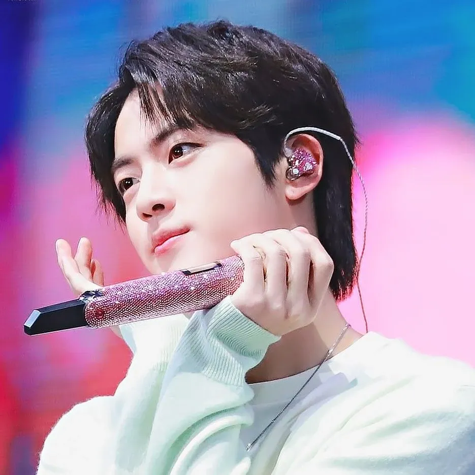 진 (방탄소년단) 팬이 찍은 순간