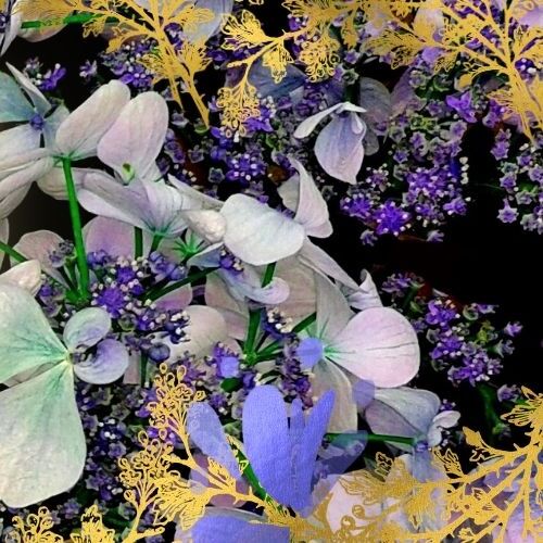 Latest photo of JI U (DREAMCATCHER)