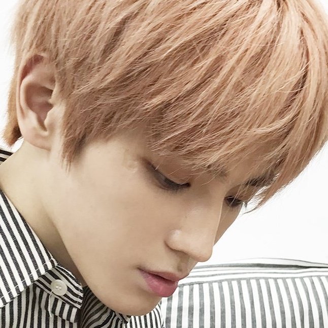 A moment captured by Taeyong (NCT 127)'s fan