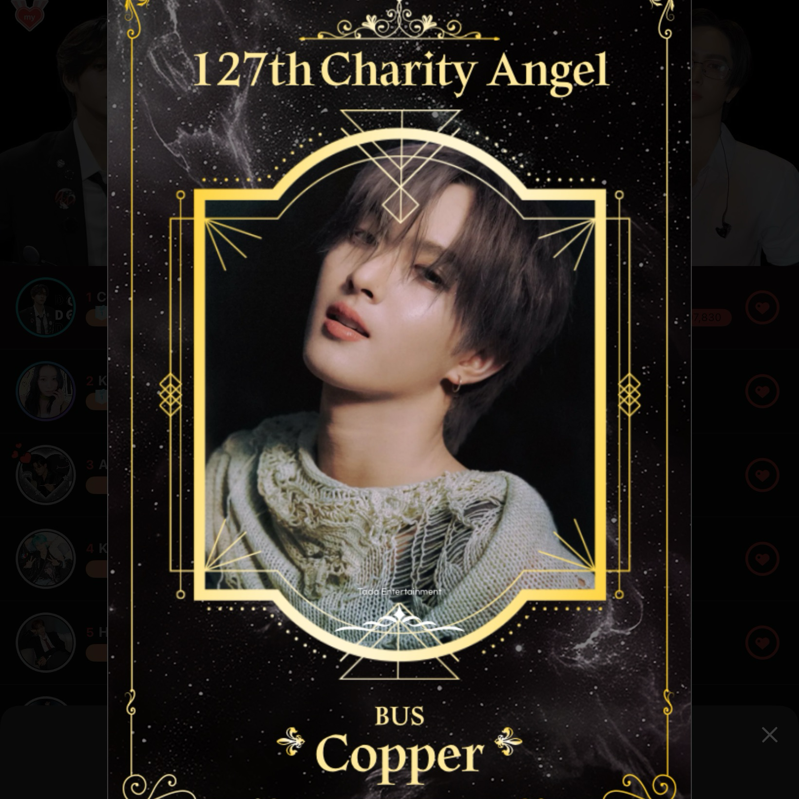 코퍼 (BUS) 최근 활동샷