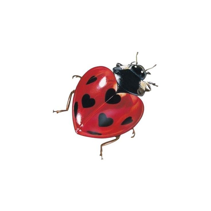 TOMORROW X TOGETHER的最新活動照片