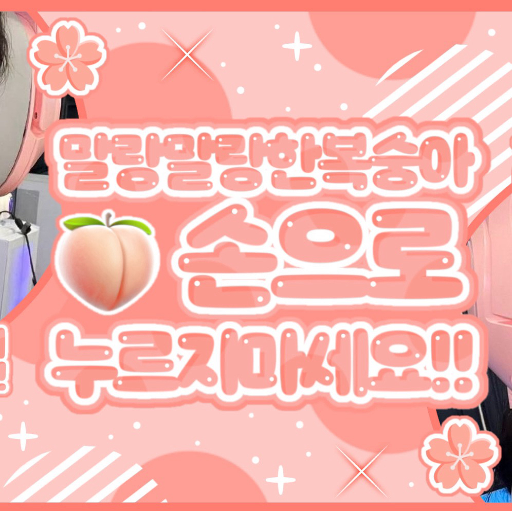 수진 최근 활동샷