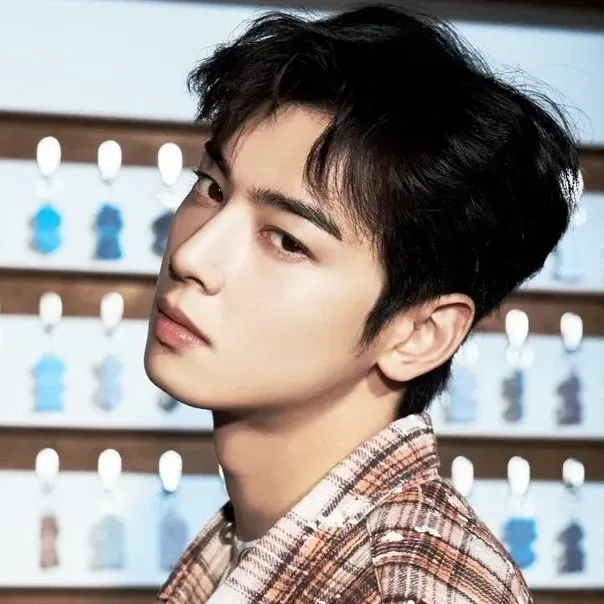 Latest photo of Eunwoo (ASTRO)