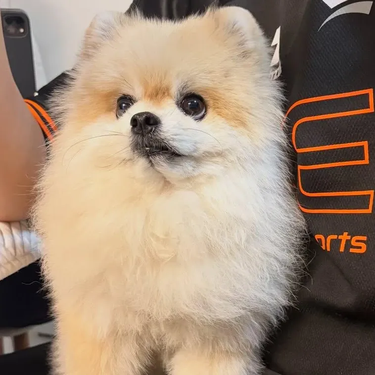 Latest photo of Moonbin (ASTRO)